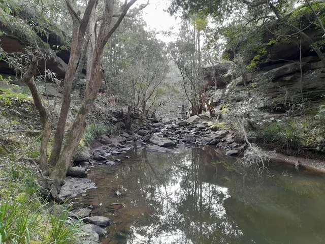 Bomaderry Creek Regional Park