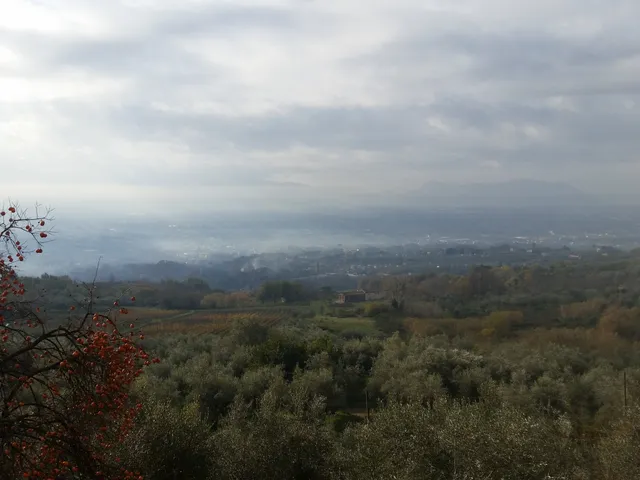 Azienda Agricola San Pietro - Il Monastero