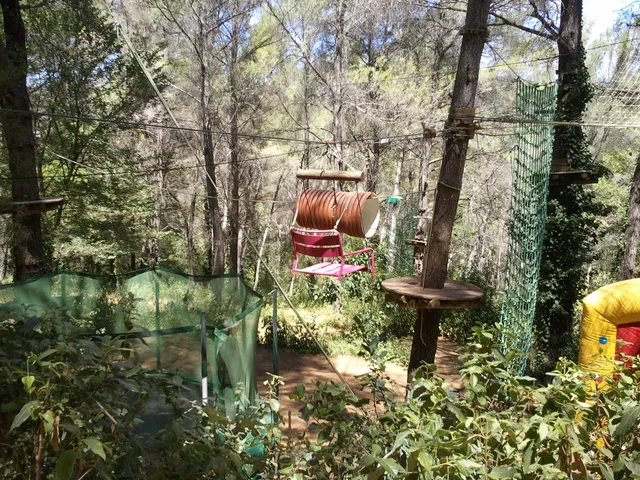 Le Royaume des Arbres Auriol