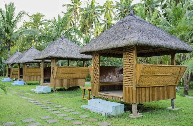 Freedom Eco Adventure Park