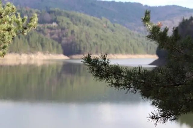 Municipality of Berovo