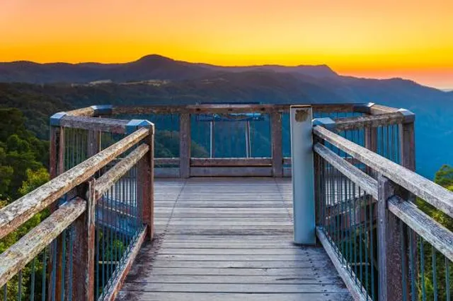 Skywalk lookout, Dorrigo National Park