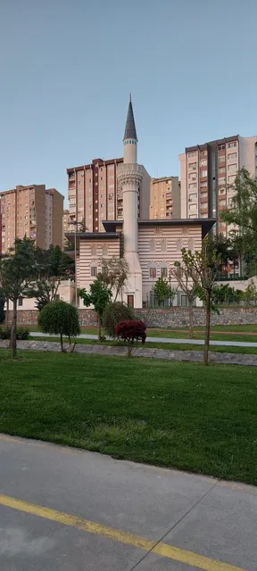 photo-1