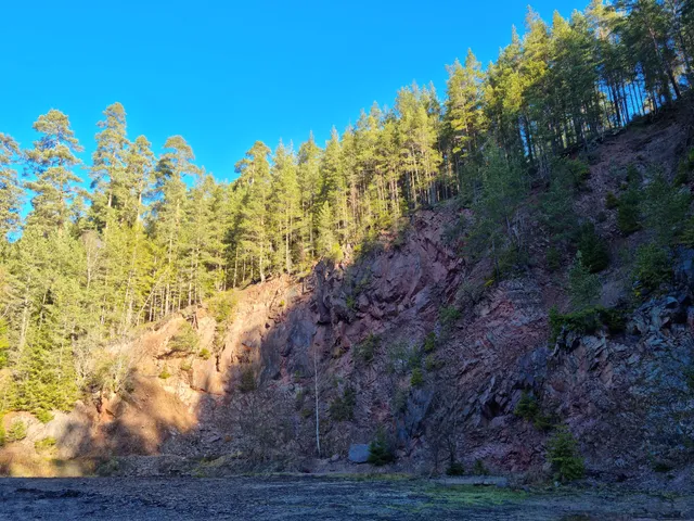 Rötenbacher Ameisenpfad