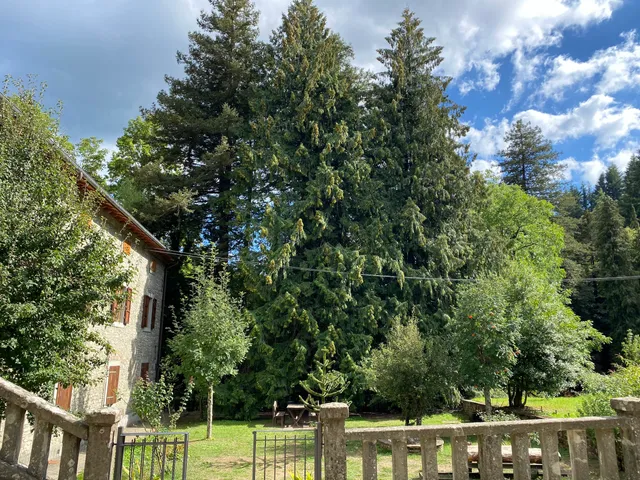 Museo Forestale e Arboreto Carlo Siemoni