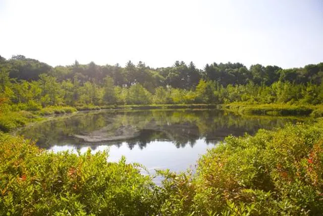 Charles W. Ward Reservation