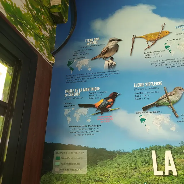 La Maison de La Mangrove