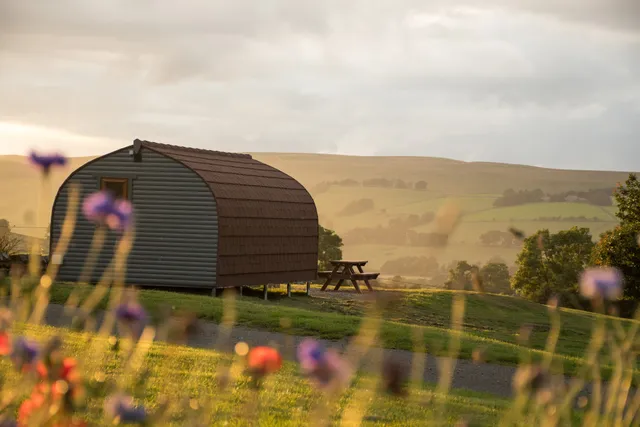 Wild Northumberland Glamping