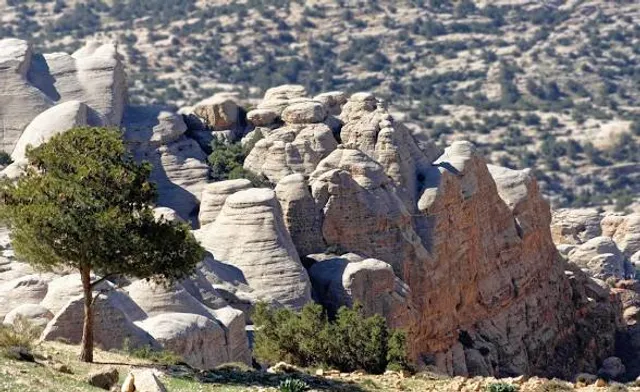 Dana Biosphere Reserve