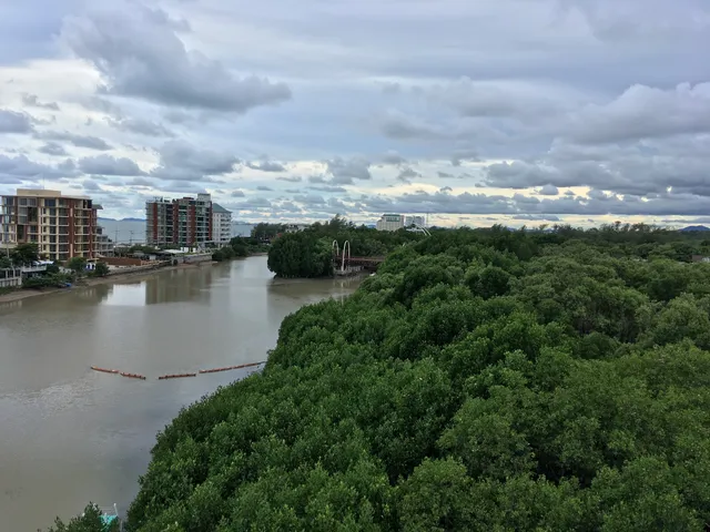 Sky Tower View Point