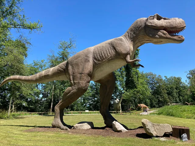 Bezirk Ried im Innkreis