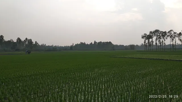 place image