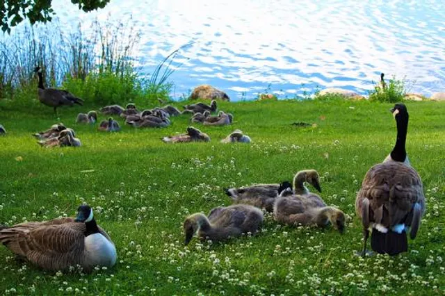 Findlingshof Strausberg