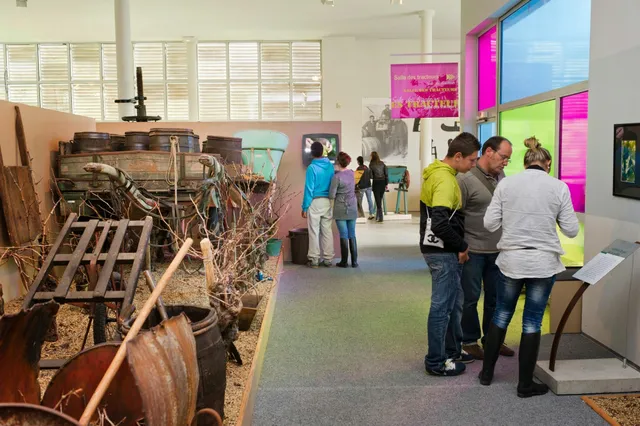 Musée du Vignoble Nantais