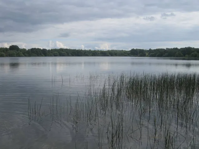 gmina Dębnica Kaszubska