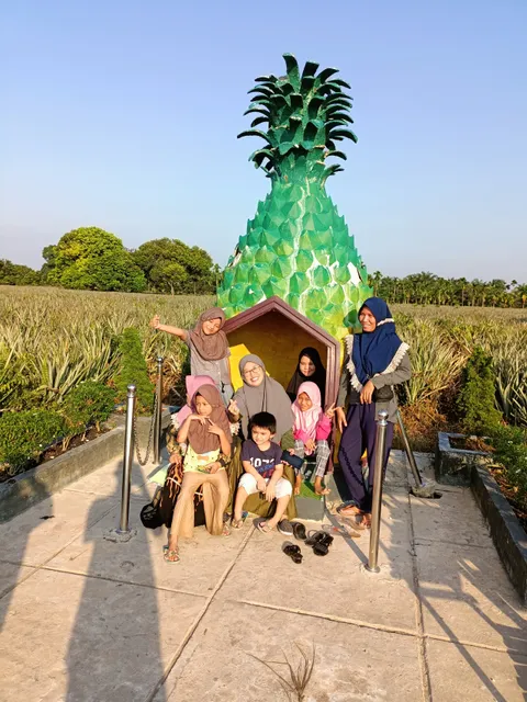 Agrowisata Nanas