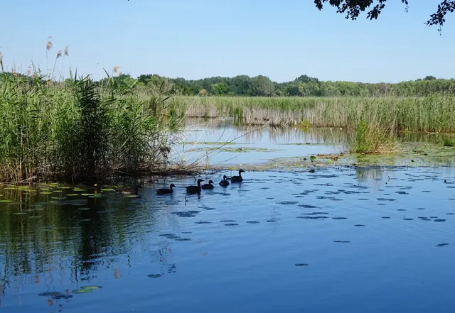 Holt-Duna tanösvény Szigetköz