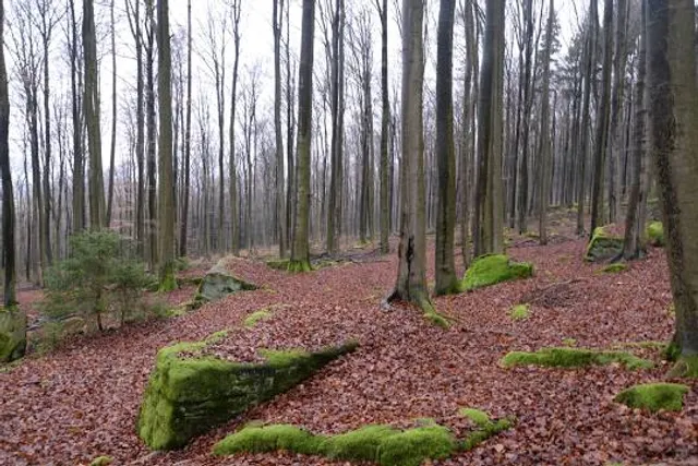 photo-2