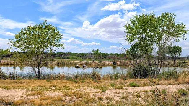 Whitfield Wildlife Conservation Area