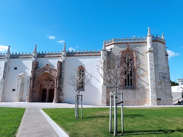 photo-1