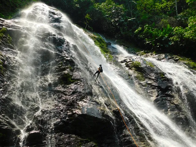 Qué hacer en Caquetá - Reserva Natural Y Ecoturistica La Avispa