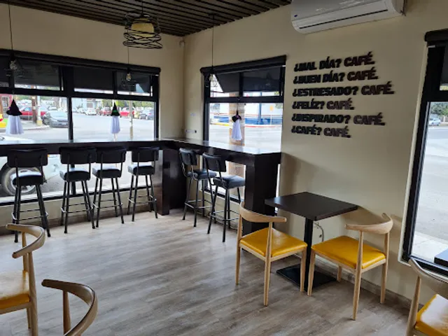 Lazy Cat Coffee House