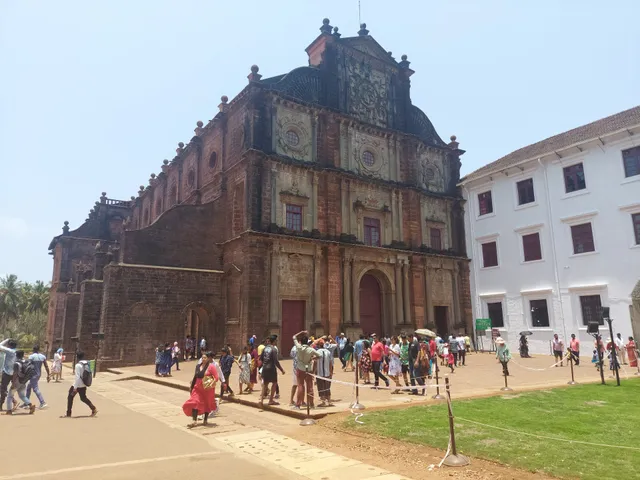 Relics Of St. Francis Xavier