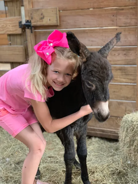 Cockrill’s Country Critters