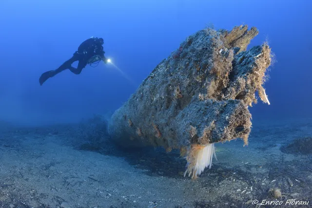 Diving World Ventotene