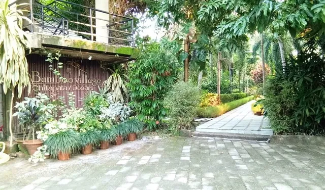 Bamboo Village Resort- Chilapata