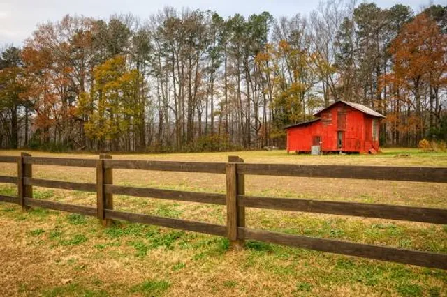 Lake Benson Dog Park