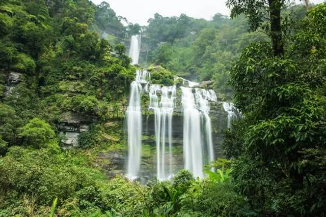 Bolaven Plateau