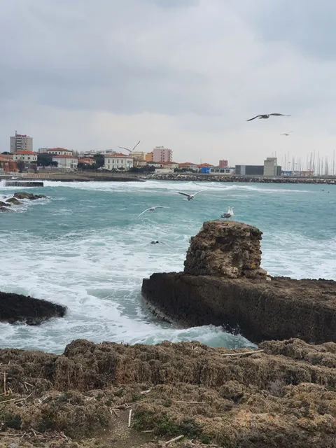 Lungomare della Pineta