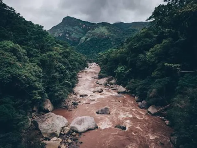 Velo de la Novia - Ucayali