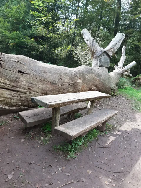 Naturdenkmal „Dicke Eiche“