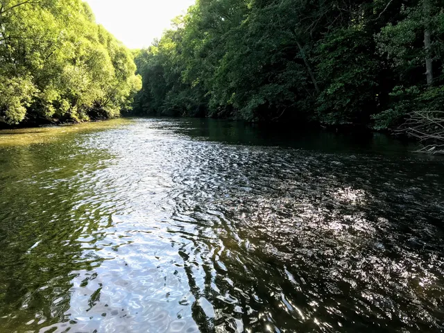 Enzaue bei Roßwag und Burghalde