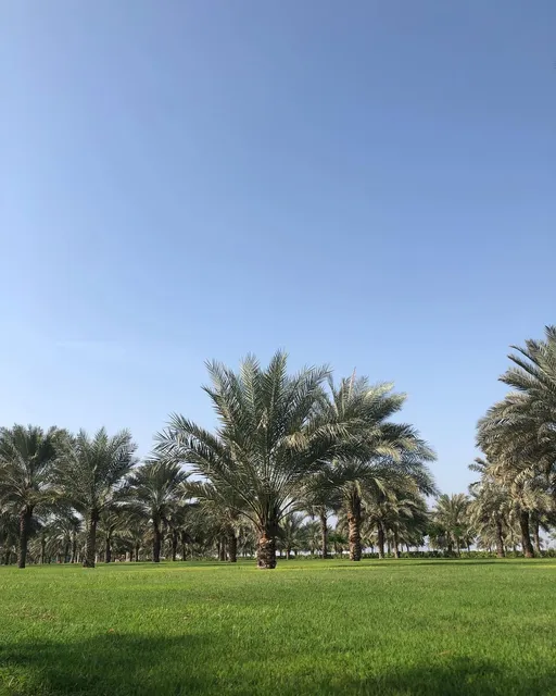 Al Safia Park