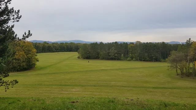 Wasserwald - Wasserschutzgebiet Scharlinz