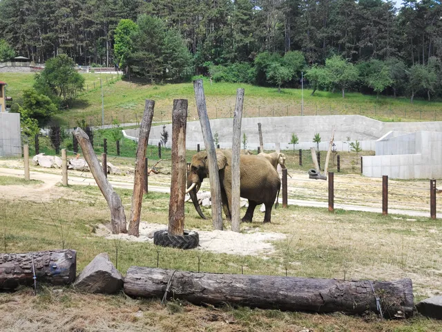 ZOO Bojnice Areál slonov