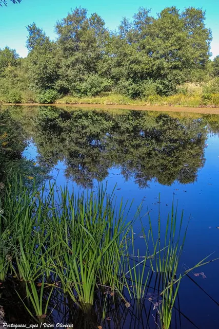 Praia Fluvial da Quinta da Azenha