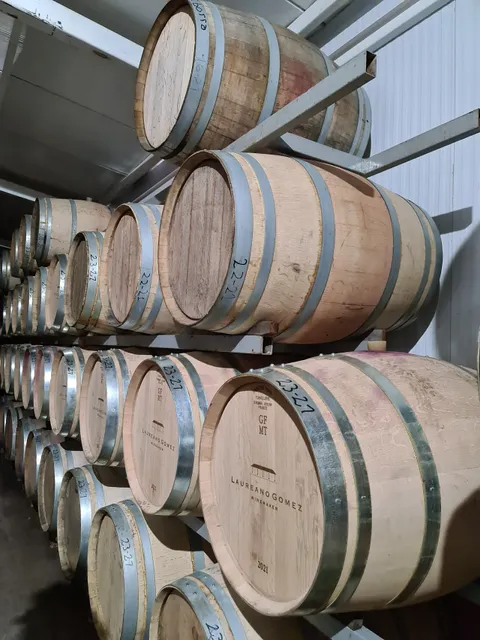 Winemaker Laureano Gomez