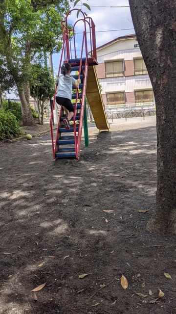 photo-1