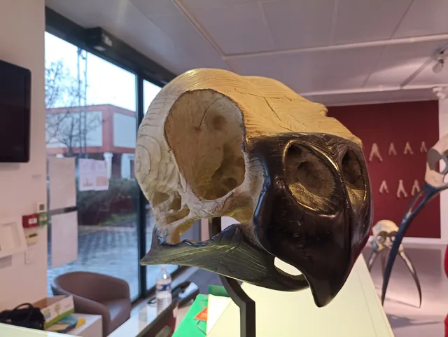 Galerie Municipale Robespierre