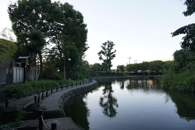 photo-1