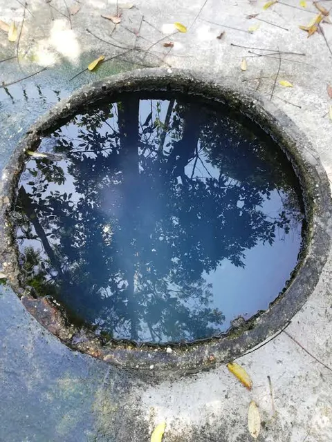 place image