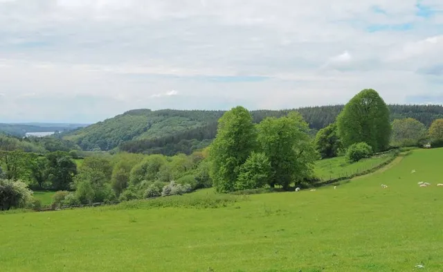 National Trust - Buckland Abbey