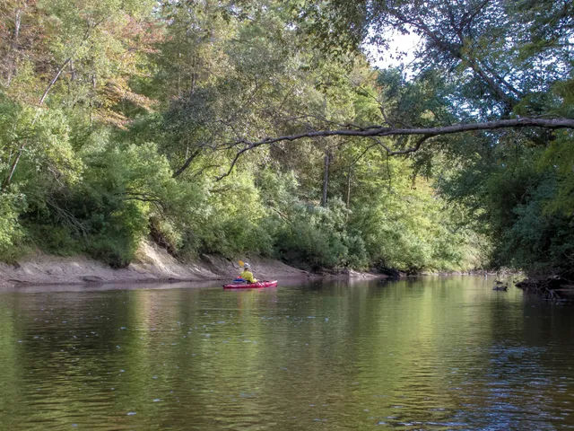 Black Creek Wilderness