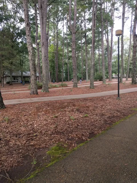 Ridgeland Parks & Recreation