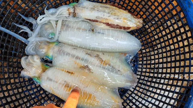 Pa Lek Seafood