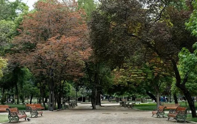 place image